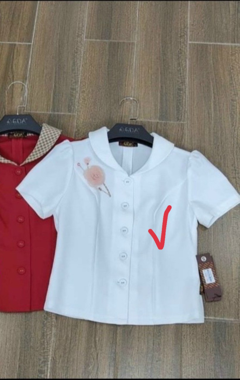 ÁO KIỂU DUYÊN DÁNG T0022