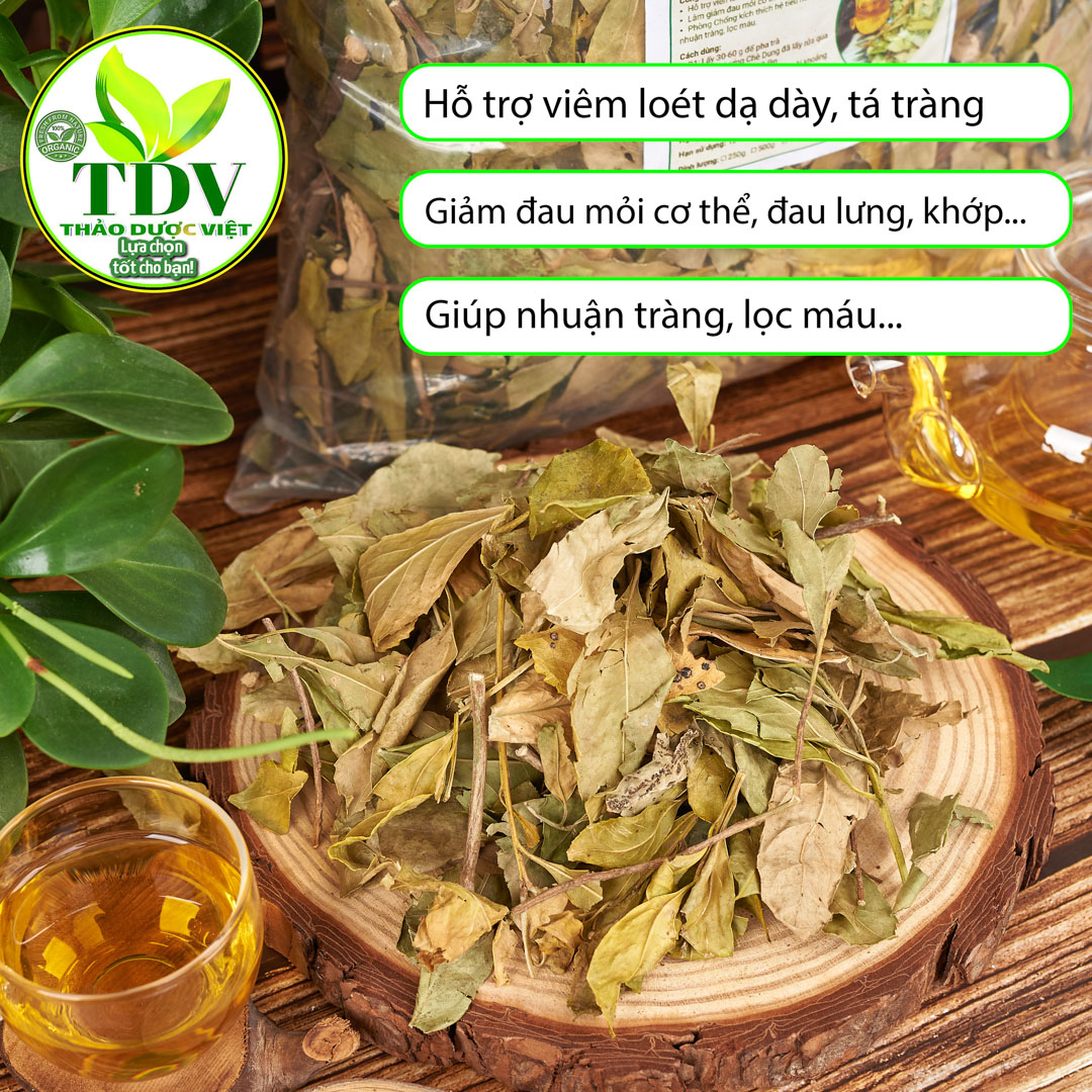 1kg Chè Dung Nghệ An tốt cho dạ dày