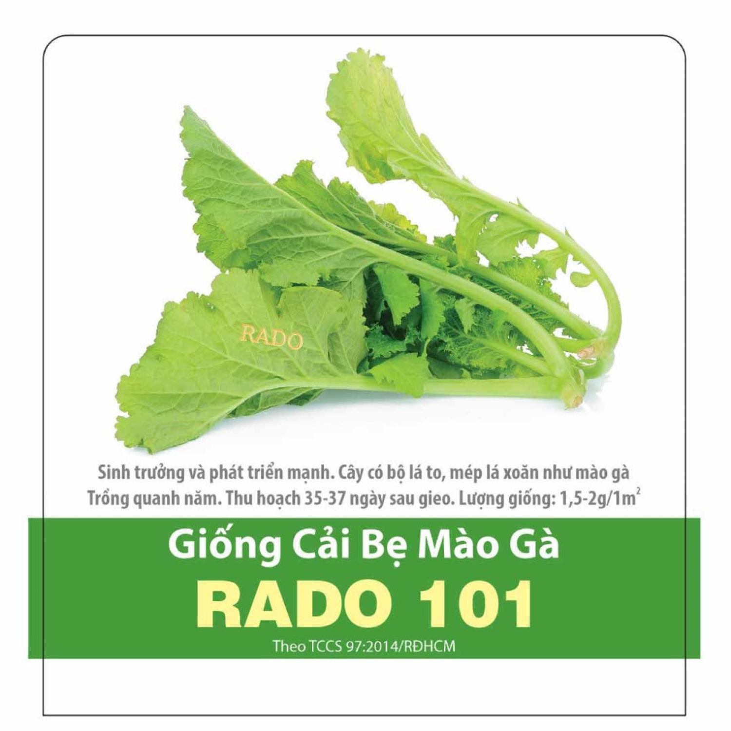 Hạt giống Cải Bẹ Mào Gà, gói 20 gram