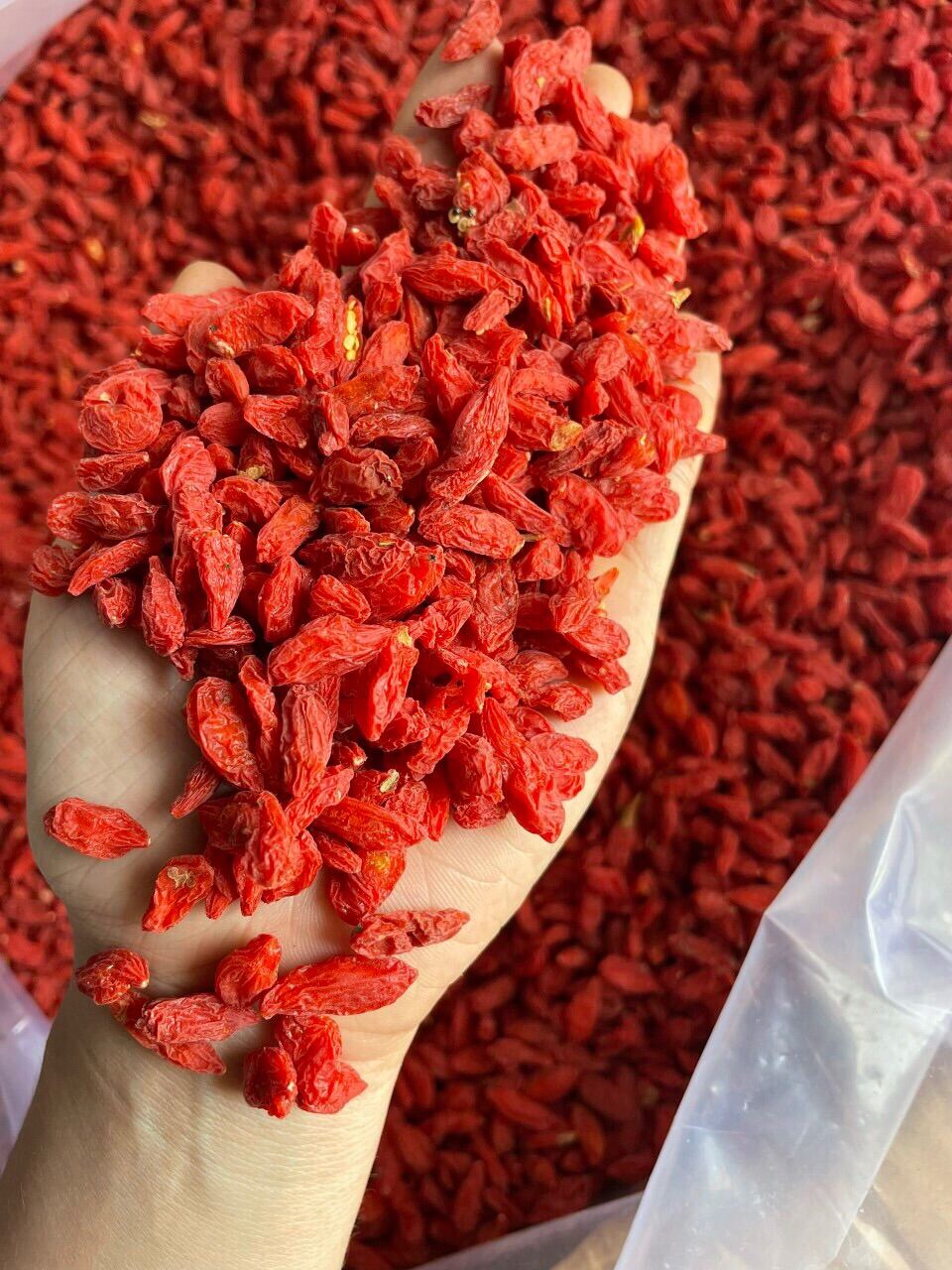 ớt thóc xanh 150k/kg