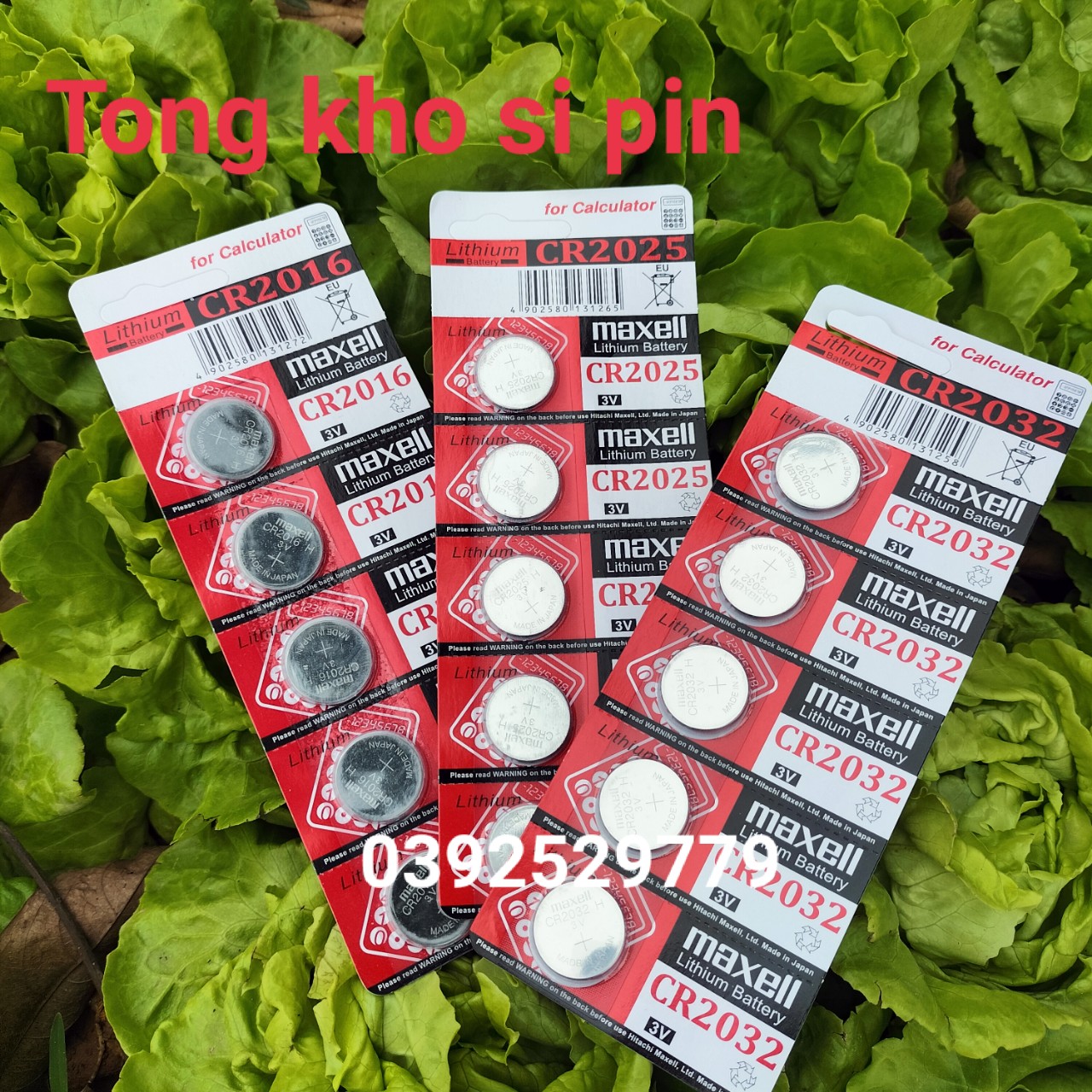 5 Viên Pin CR2032 Pin 3V  Maxcell Lithium