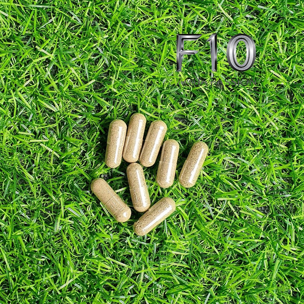 Artemia Nước Ngọt - Atermia Nước Ngọt Dạng Viên Nhộng 1 Viên