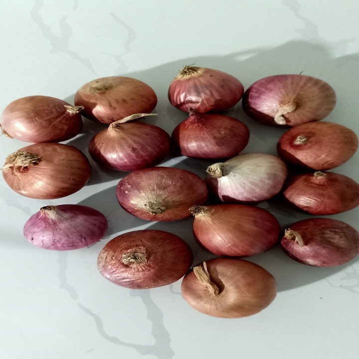 Củ Hành Tím đắk lắk 1kg