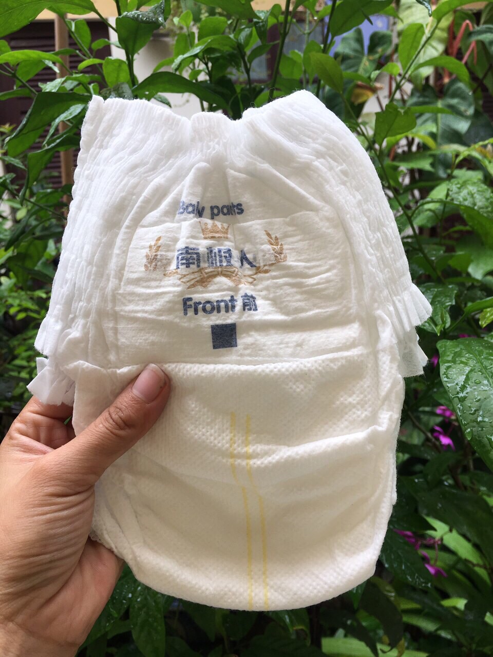 100m bỉm quần hana