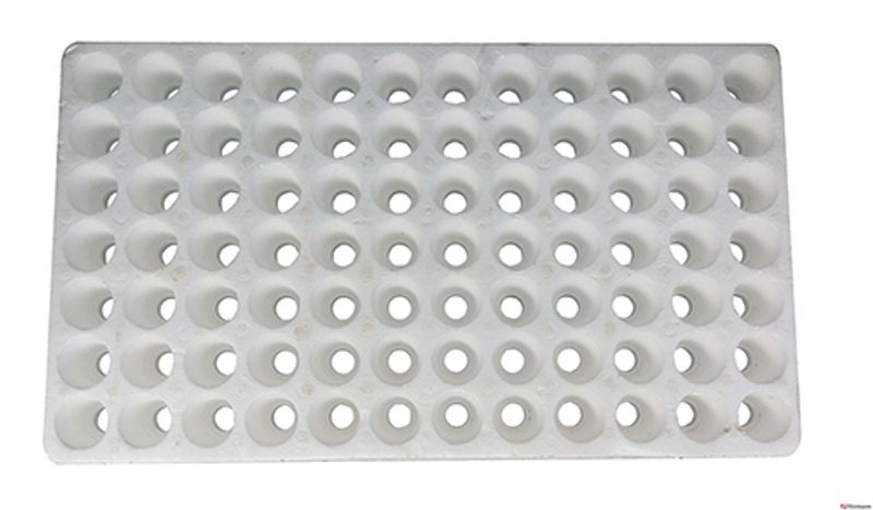 [HCM]Khay (Vỉ) xốp 84 lỗ ươm  hạt