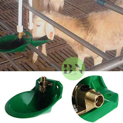 Máng nước tự động cho dê cừu động vật