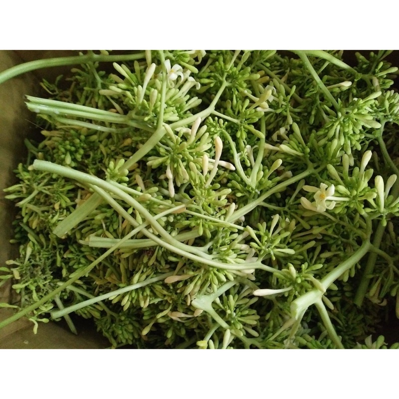 100gr hoa đu đủ đực khô