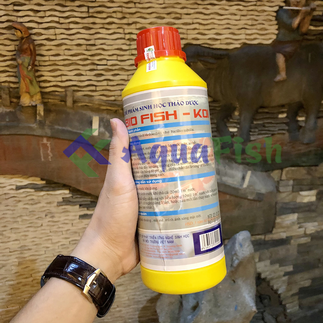 Bio Fish Koi Probiotics 1000ml (Probiotics Trusted for Koi Fish Ponds)