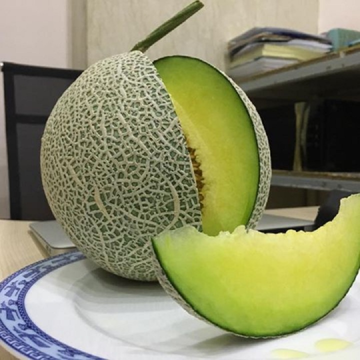 Hạt giống Dưa lưới vàng F1- 1gr