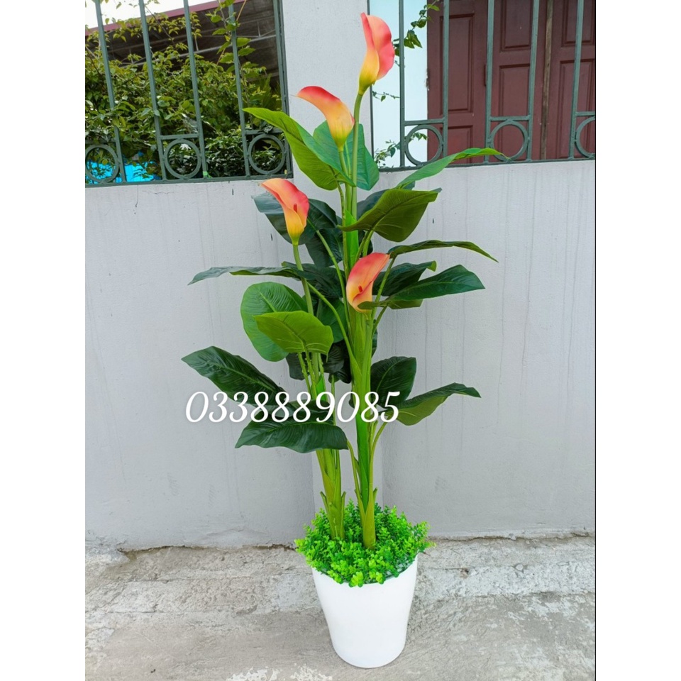 Cây giả- Cây hoa Rum (ZUM) 1,6m siêu đẹp