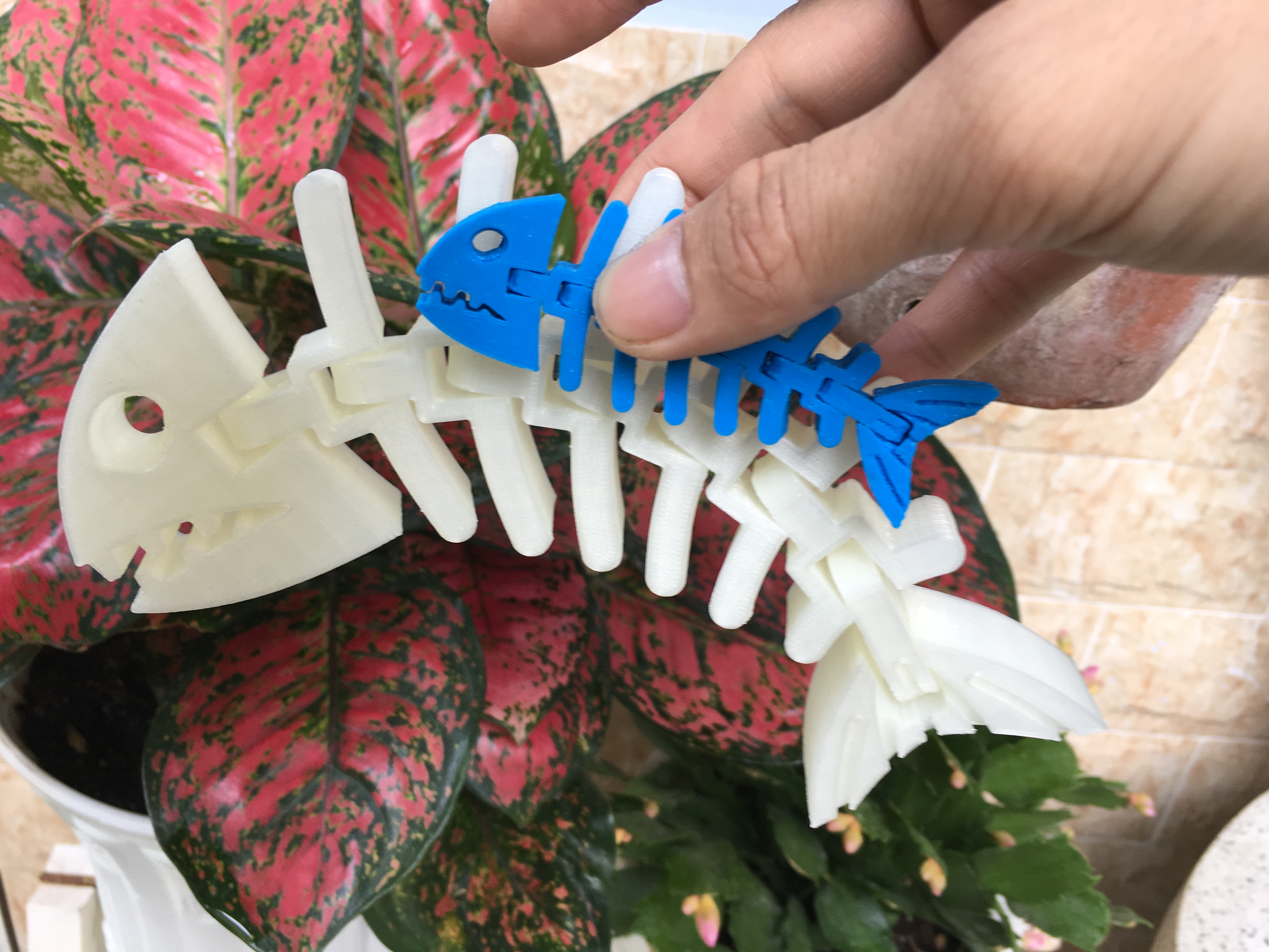 Mô hình in 3D - Xương cá linh hoạt