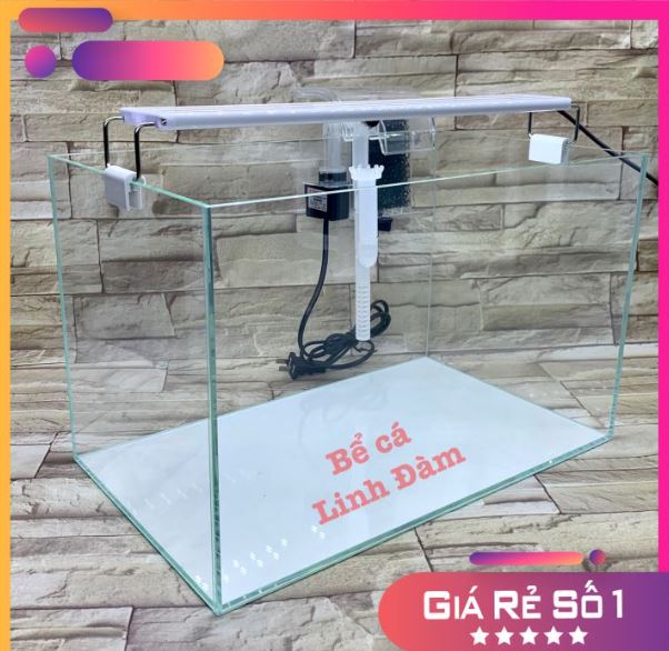Bể cá 40cm kính siêu trong 5 mặt , dán giấu keo, mài vi tính- bể cá cảnh thủy sinh.