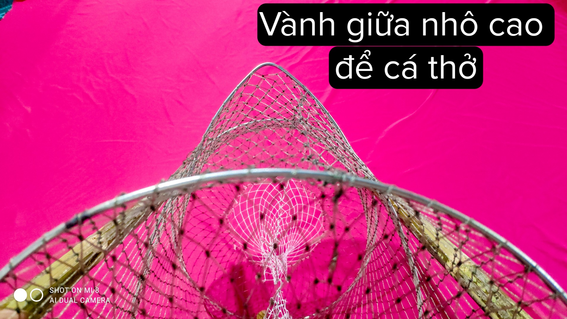 Lờ Cá Cải Tiến Vành Kẻm 30x52cm