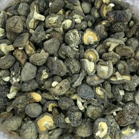 1kg nấm khô ngon