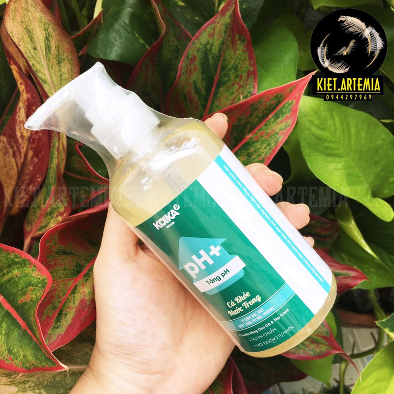 Dung Dịch Tăng pH 105ml
