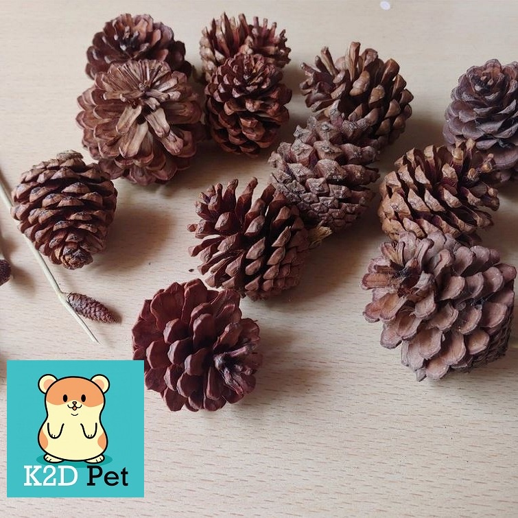 [Hoàn tiền 10%]Quả thông mài răng, trang trí lồng cho hamster, sóc.
