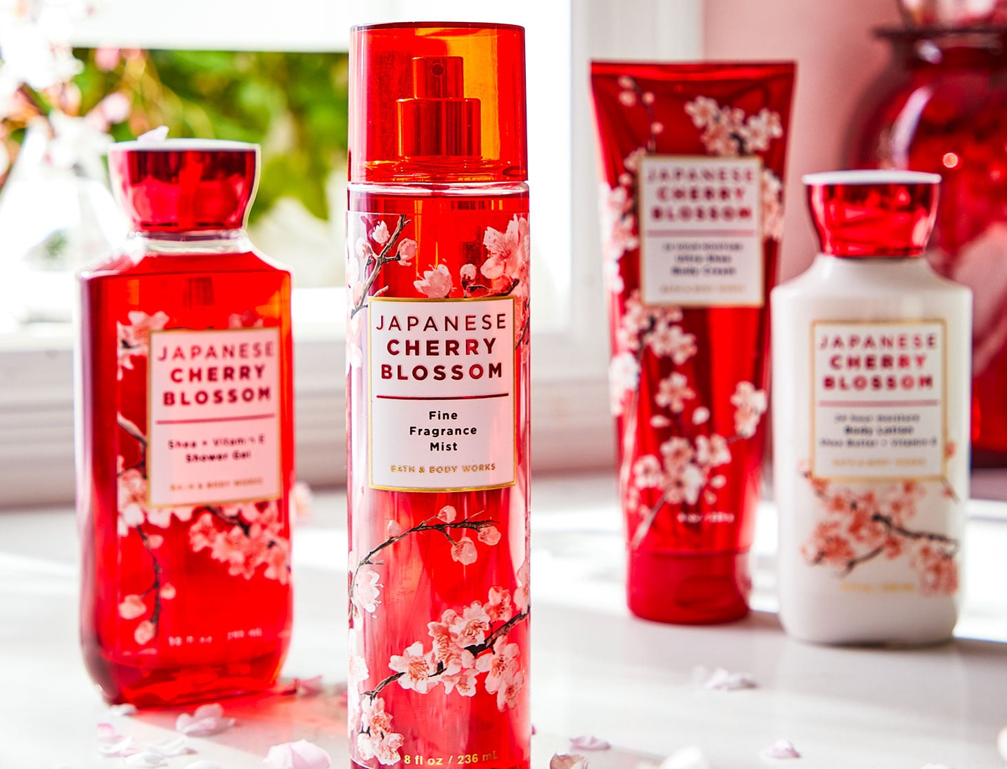 Dưỡng thể Bath & Body Work Japanese Cherry Blossom 8oz