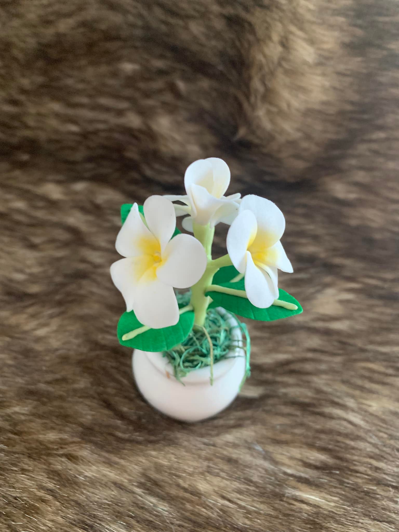 hoa sứ đất sét mini