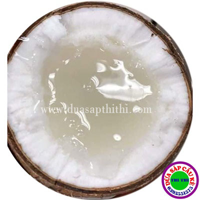 DỪA SÁP LOẠI 2 (Trái 600gr-700gr)