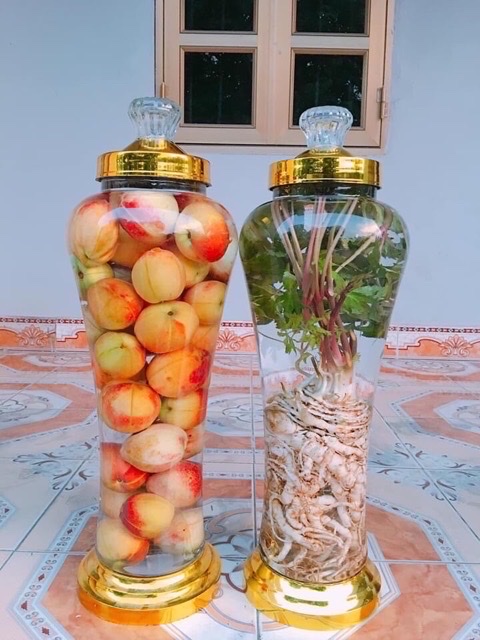 BINH THỦY TINH 6L