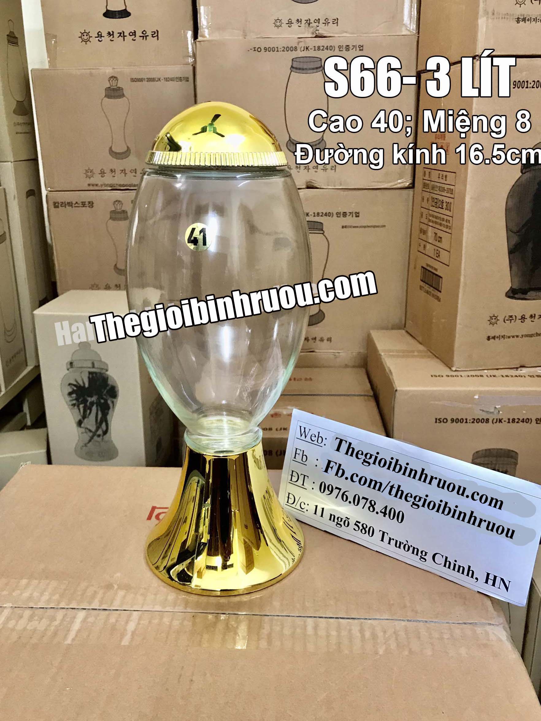 Bình Ngâm Rượu Hàn Quốc 3 Lít (Bình Hình Trứng)