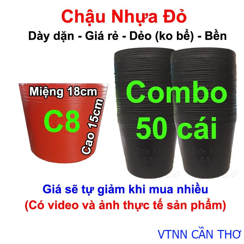 50 Chậu nhựa đỏ C8 trồng hoa Vạn Thọ Tết, trồng rau, trồng cây
