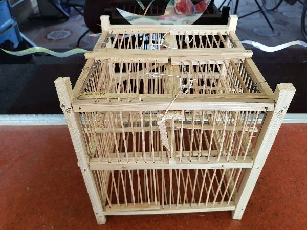 Lồng bẫy chim khuyên, sâu, hút mật