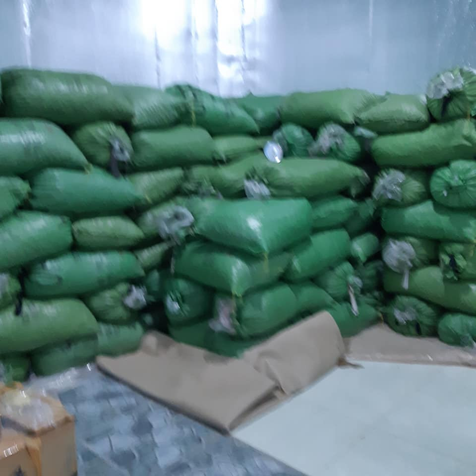 500 Gr Hạt Macca Daklak