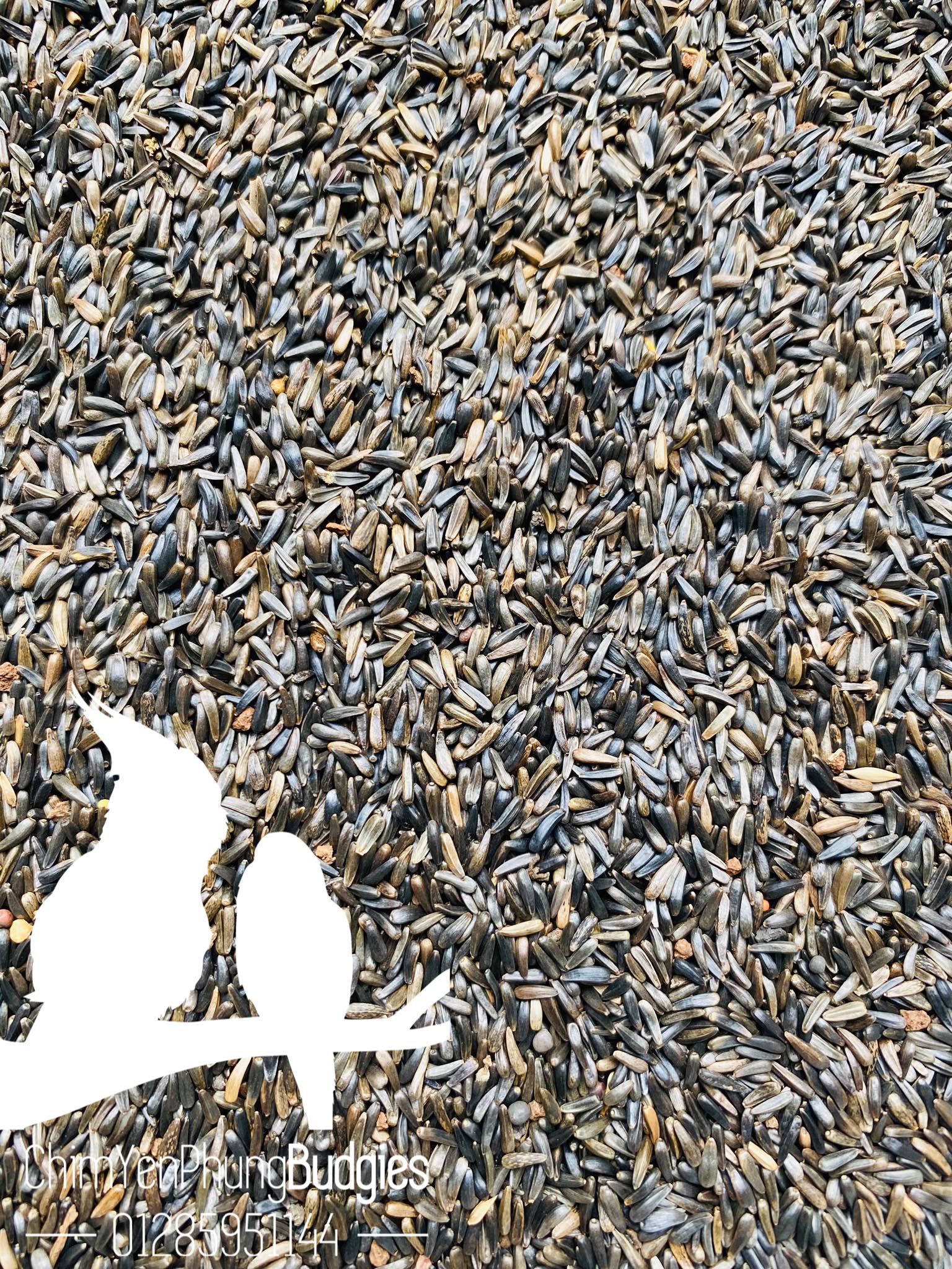 500gram hạt Niger (Niger Seed) cho Yến Hót, Chim Cảnh.