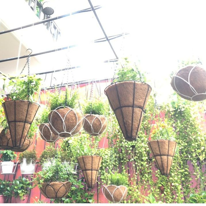 Chậu hoa xơ dừa treo tròn phi 29-30cm