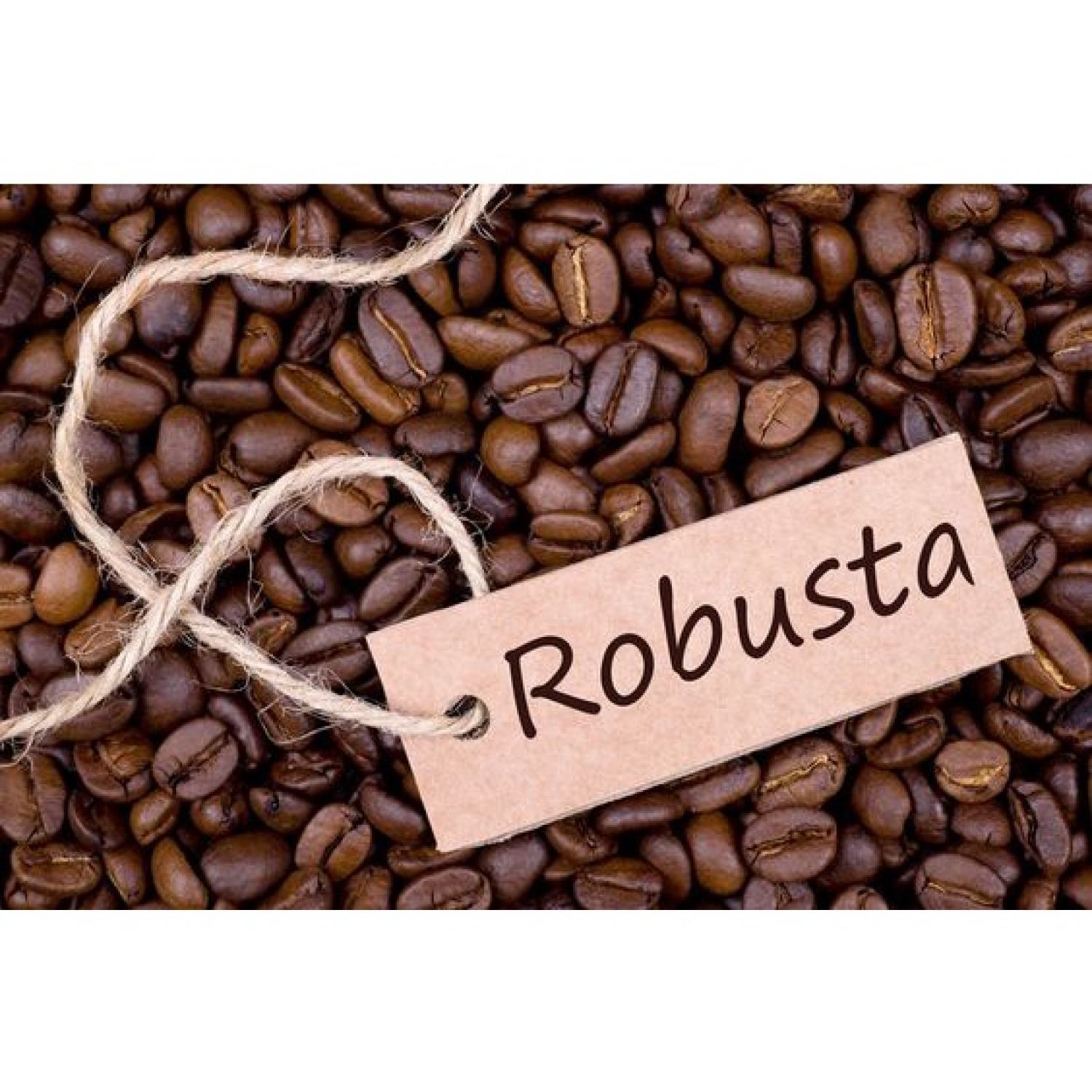 Cà phê hạt Robusta Nguyên Chất MK Coffee - Bịch 500g