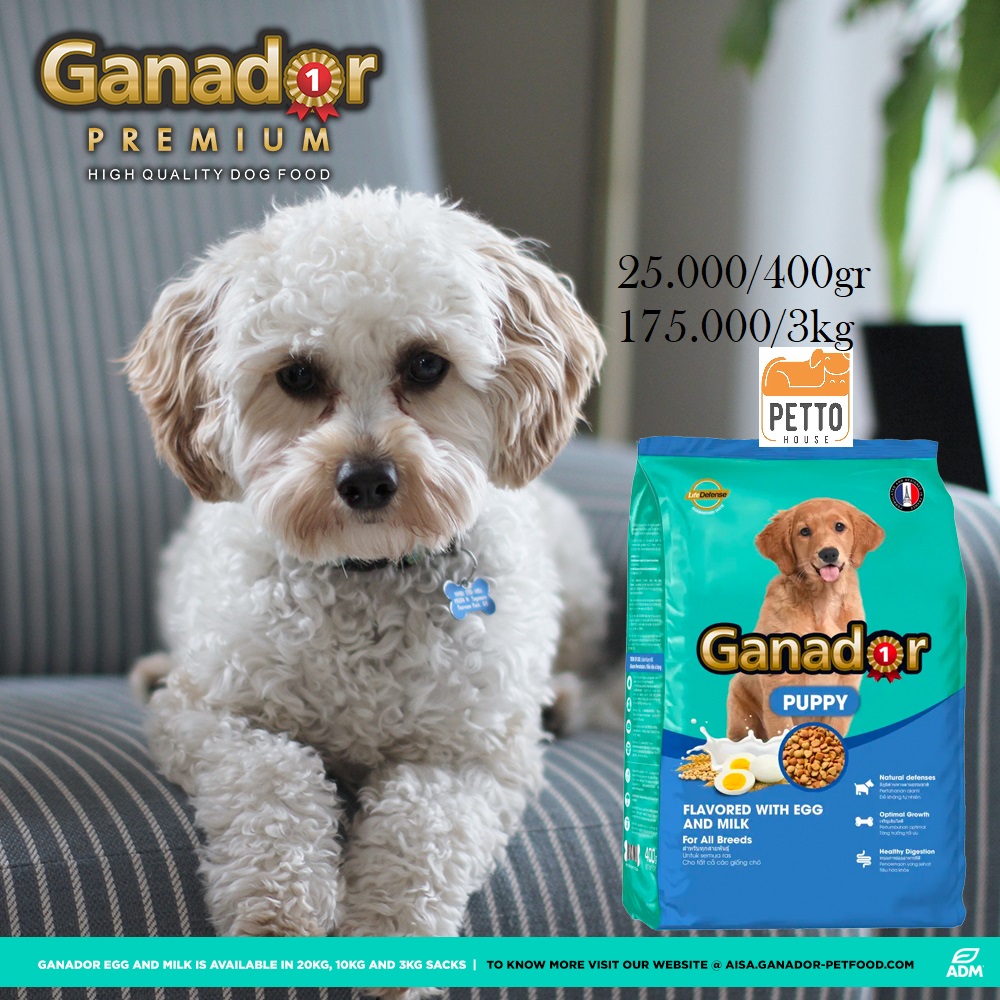 [pettohouse gò vấp] thức ăn cho chó con Ganador puppy egg and milk 400g hạt khô vị trứng và sữa tiêu chuẩn pháp cho chó con dưới 12 tháng tuổi