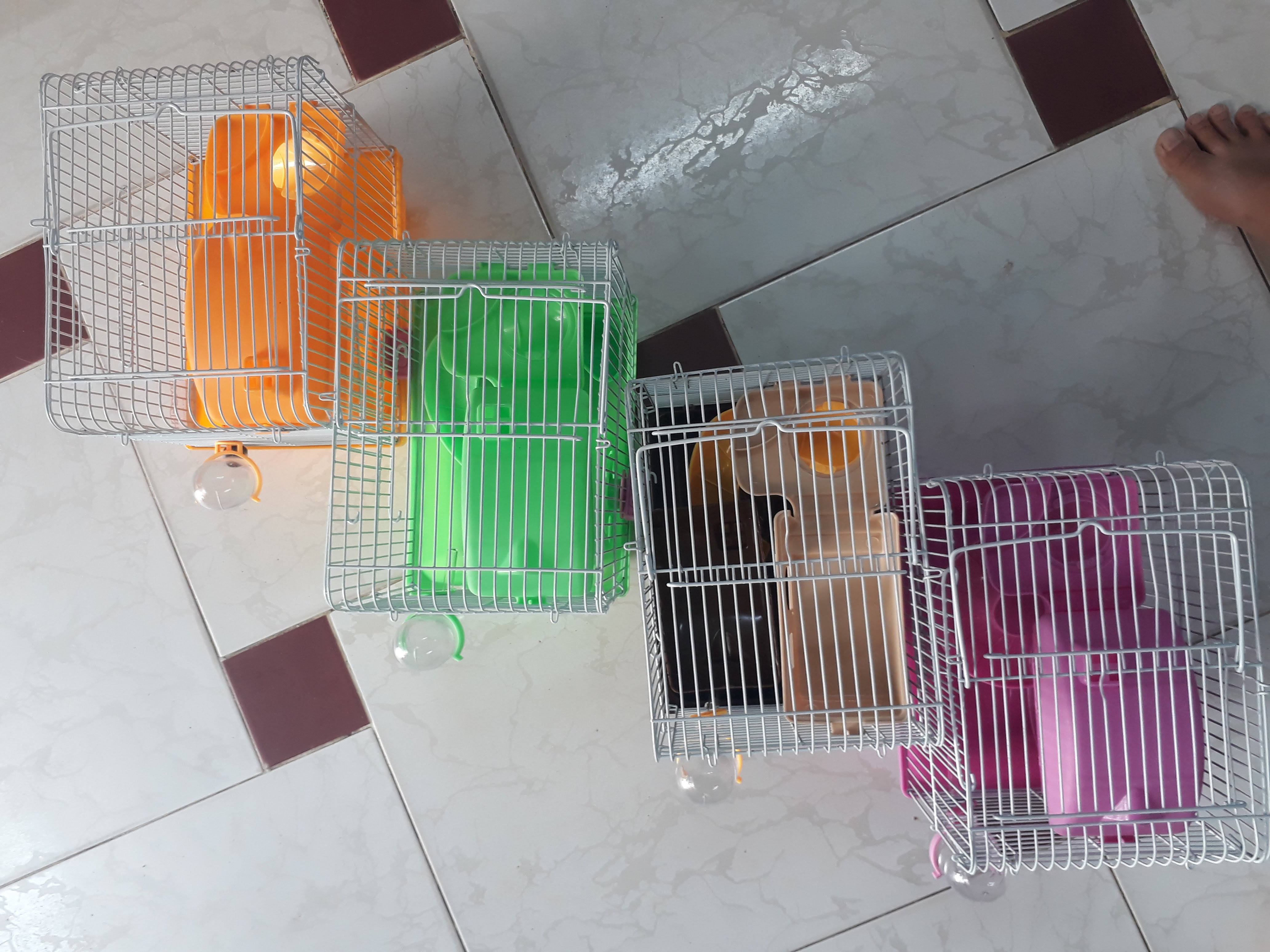 Lồng mặt hề full phụ kiện cho hamster