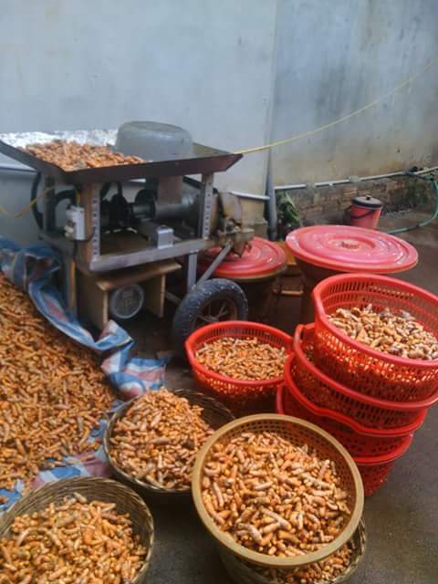 [HCM]TINH BỘT NGHỆ NGUYÊN CHẤT THẢO MỘC 250GR