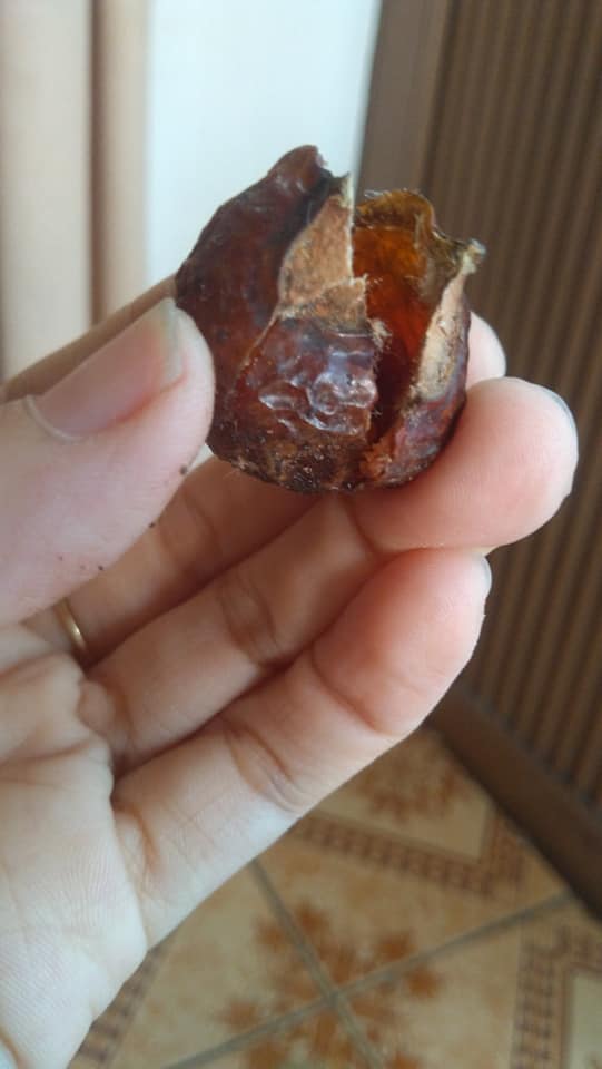1 kg Bột Bồ Hòn
