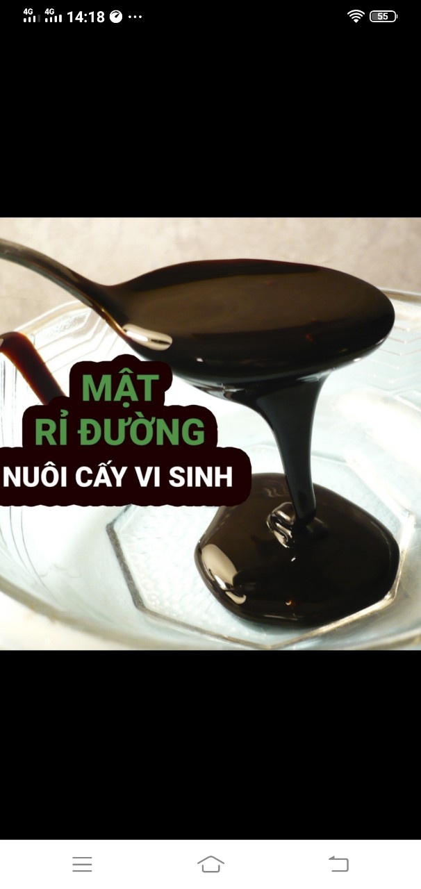 5 Lít Mật rỉ đường nguyên chất