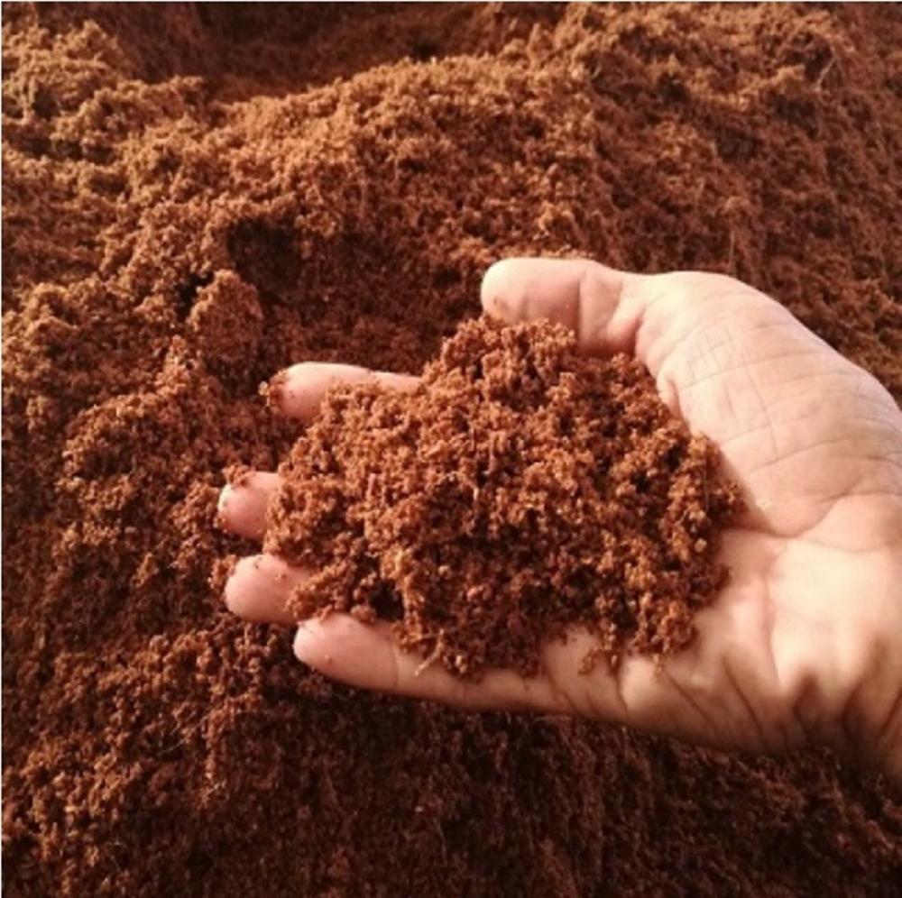 4 kg Mùn Dừa - Xơ dừa trồng bẫy kẹp/nắp ấm - Giá thể trồng cây - Hàng chuẩn