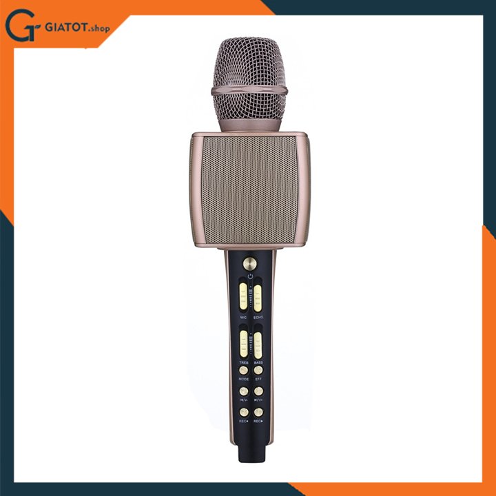 Mic kèm loa karaoke Anysing ZBX-69