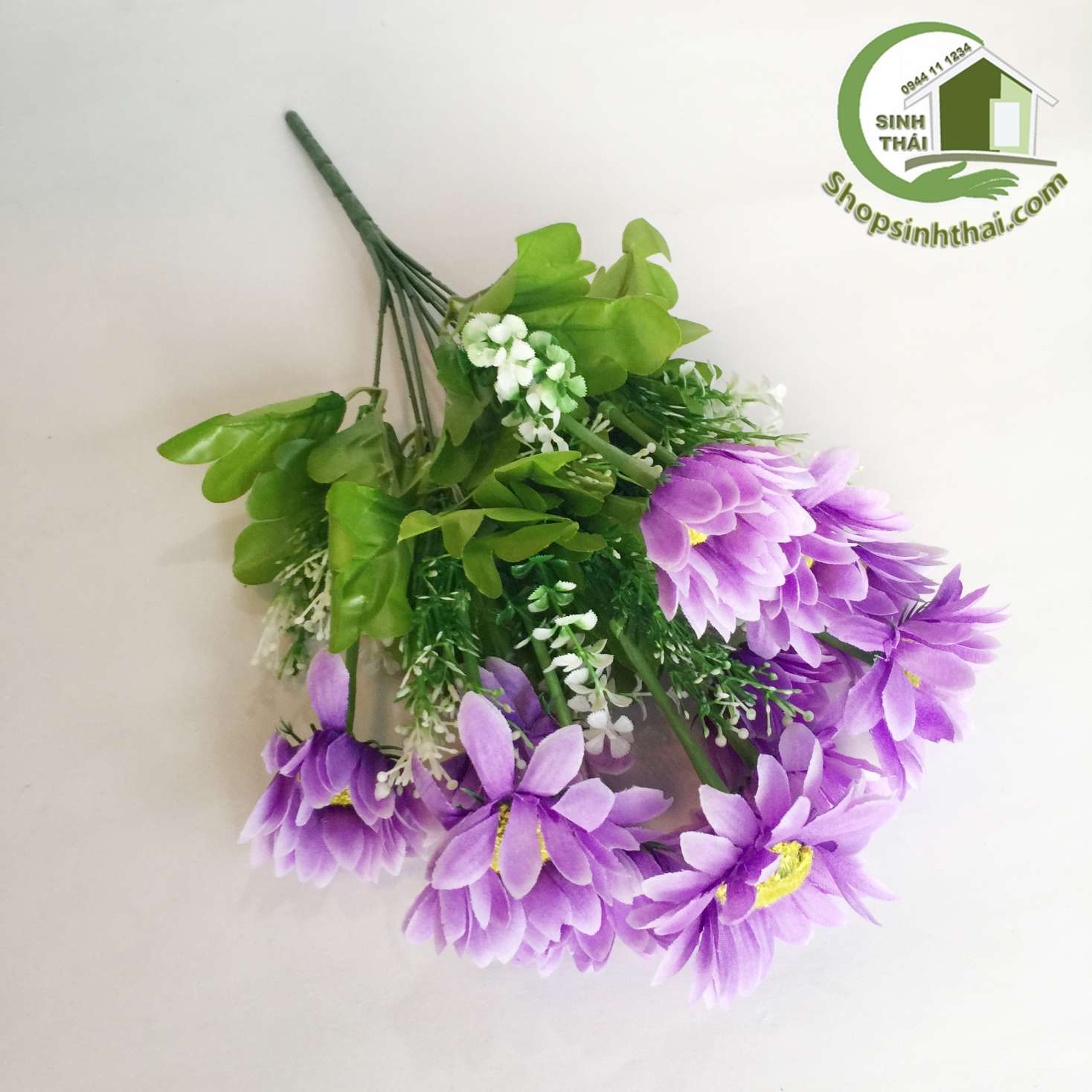 [HCM]Bụi hoa cúc thạch thảo màu tím - bụi cao 38cm