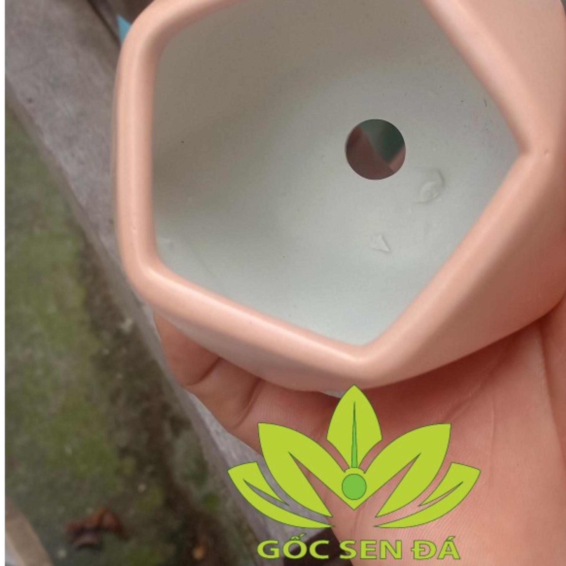 Chậu gốm R 8 cm