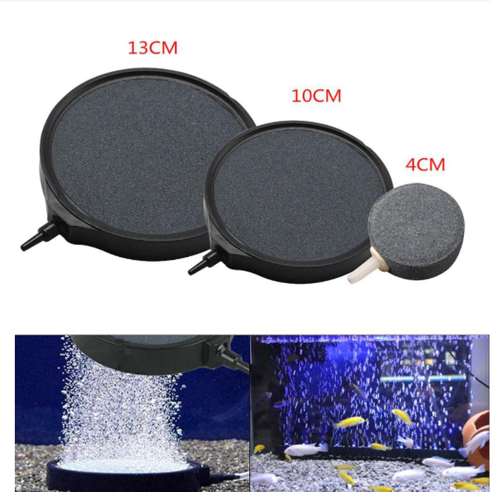 Đĩa sủi siêu mịn có viền 10,7cm