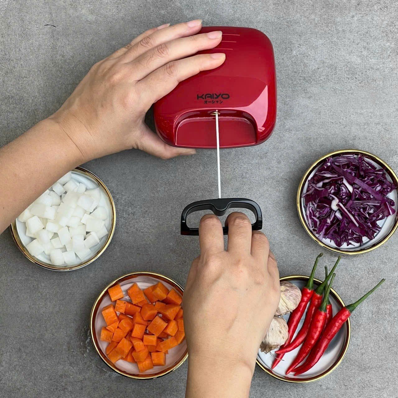 Kaiyo Premium Garlic Chopper Manual Kitchen Tool