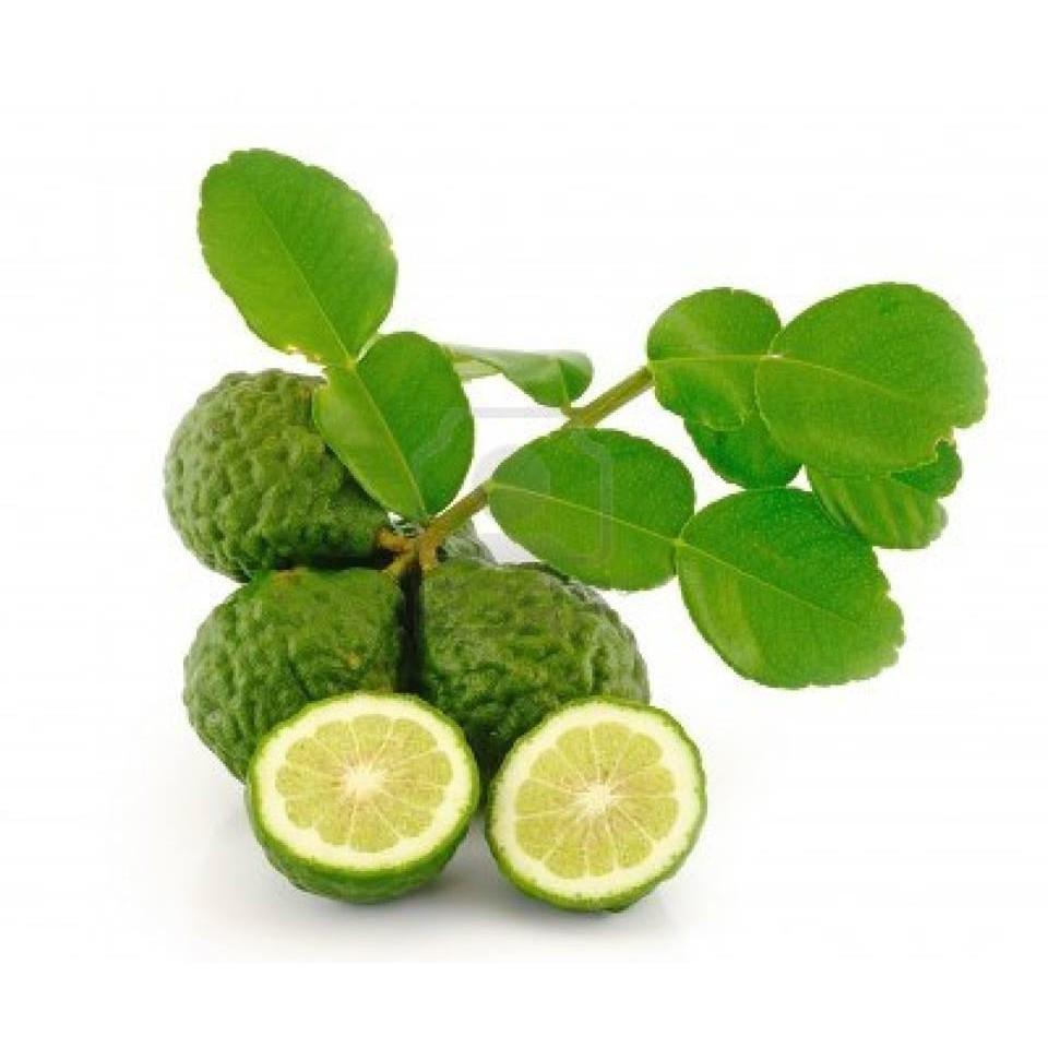 Cây Chanh Trúc ( Chanh Não Người ) hgfhgf