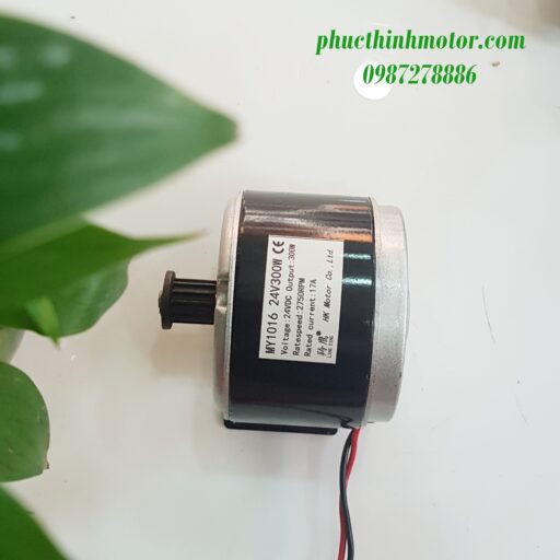 Motor 24V300W