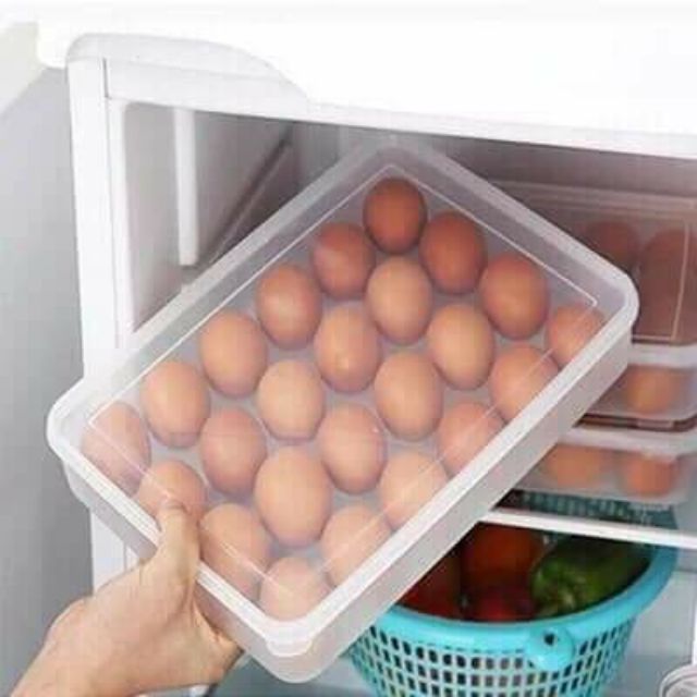 Khay đựng trứng 1 tầng 24 quả