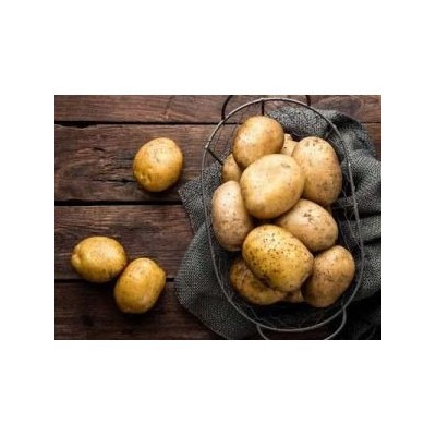 [HCM]Bột Khoai Tây