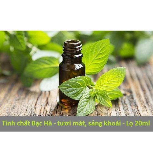 Tinh dầu Bạc hà tự nhiên lọ 10ml