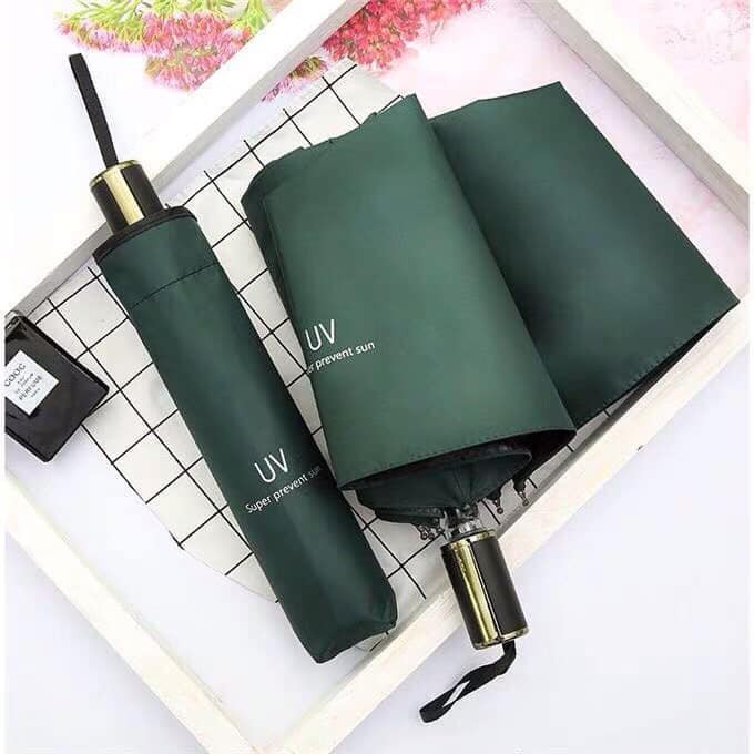 Dù đi nắng đi mưa UV- màu ngẫu nhiên