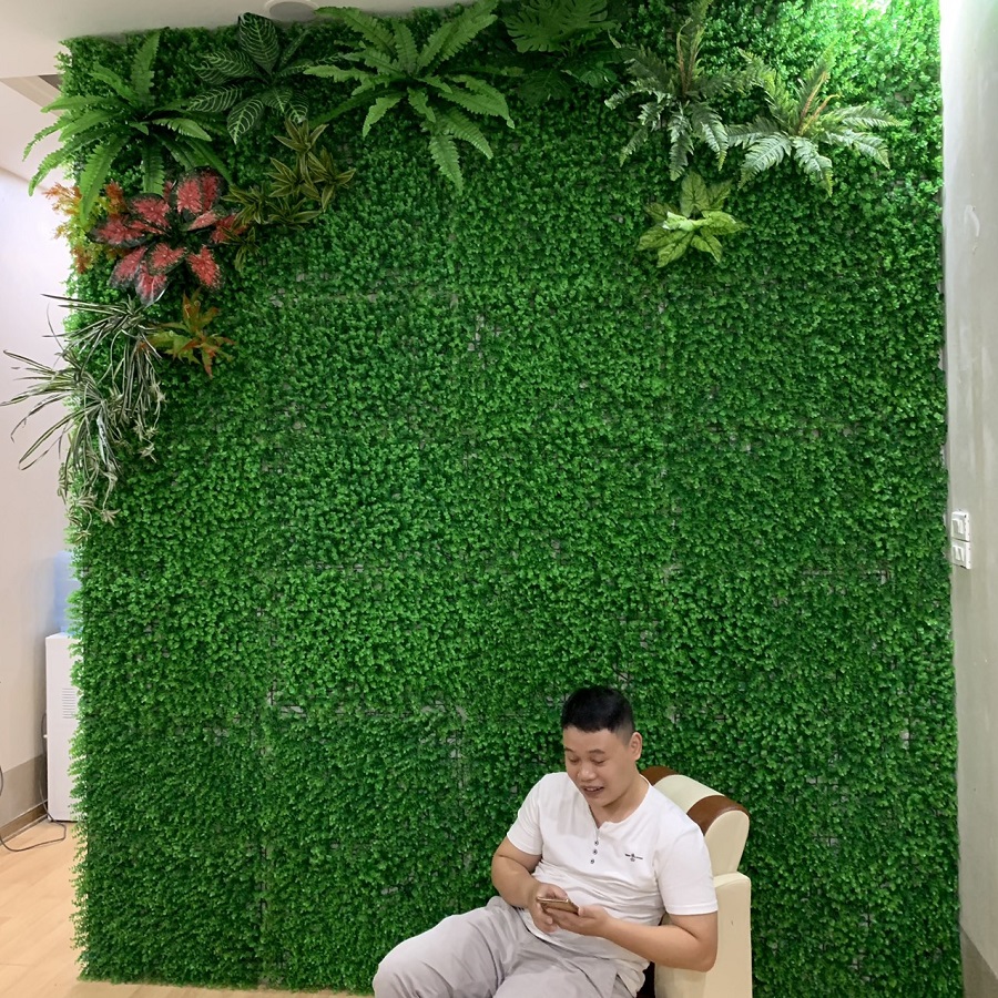 COMBO 30 TẤM CỎ CẢI XOONG TRANG TRÍ TƯỜNG