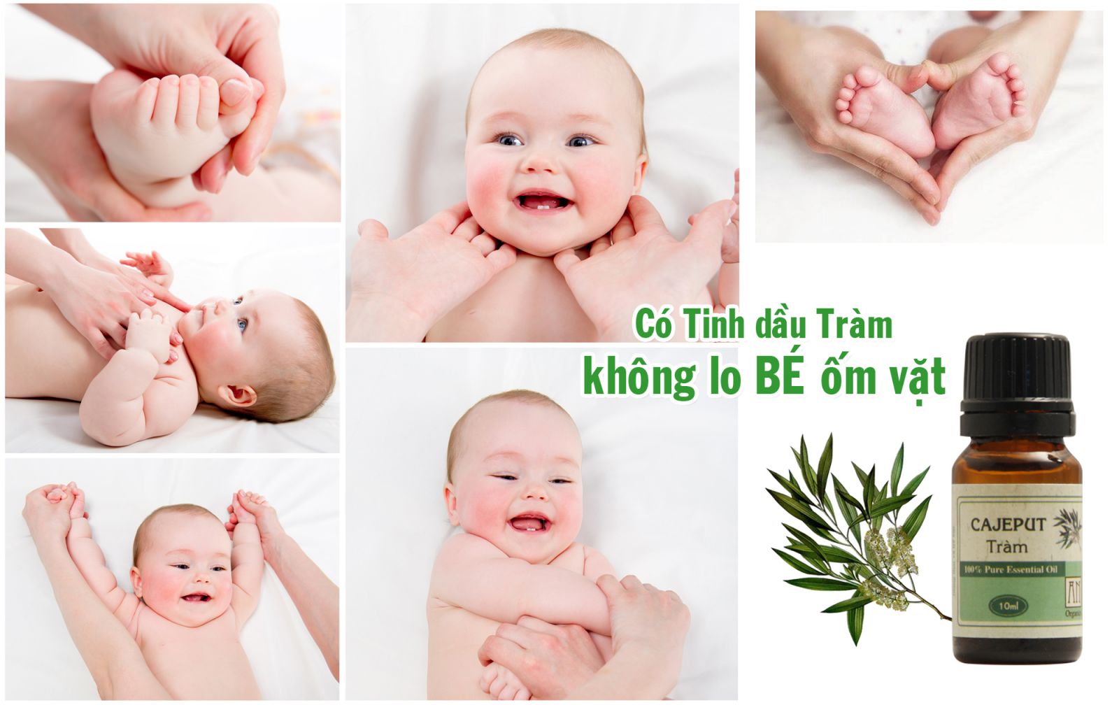 100ml Tinh dầu tràm Huế